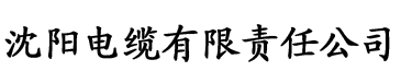 yy电影你懂得电缆厂logo